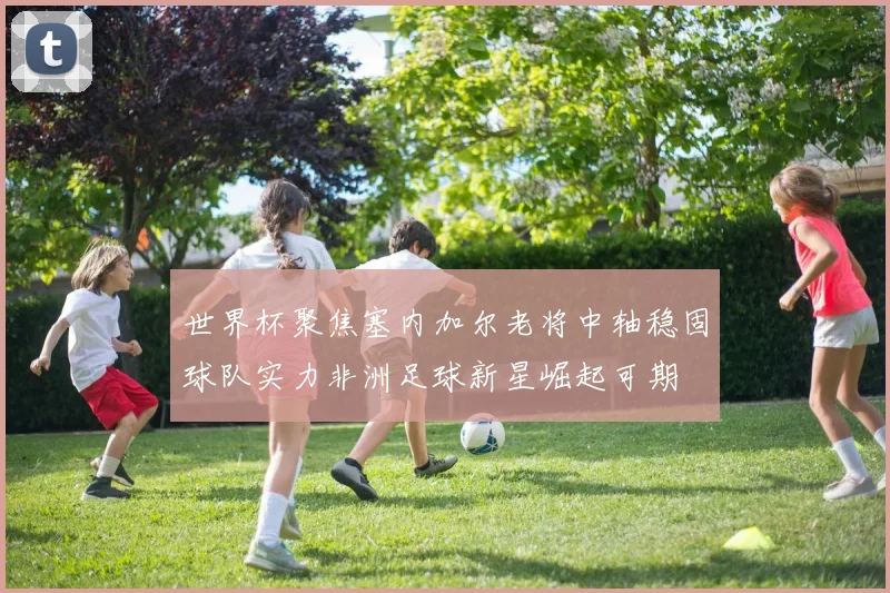 世界杯聚焦塞内加尔老将中轴稳固球队实力非洲足球新星崛起可期
