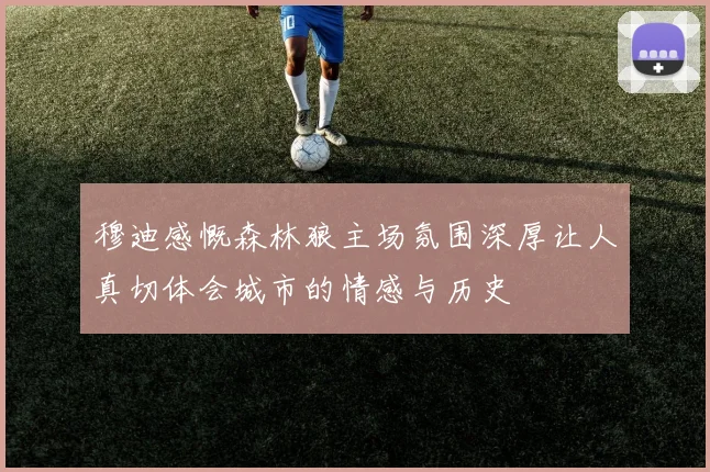 穆迪感慨森林狼主场氛围深厚让人真切体会城市的情感与历史
