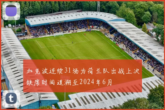 加克波连续31场为荷兰队出战上次缺席时间追溯至2024年6月