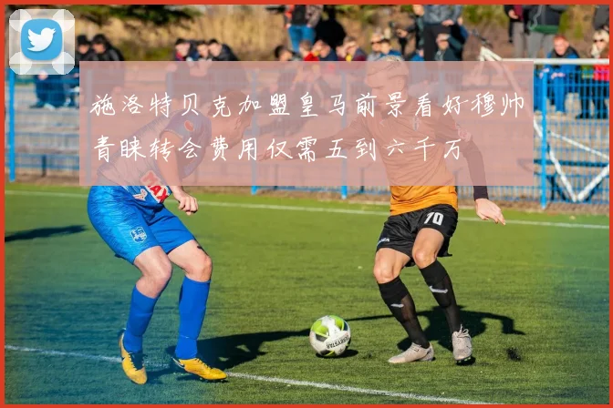 施洛特贝克加盟皇马前景看好穆帅青睐转会费用仅需五到六千万